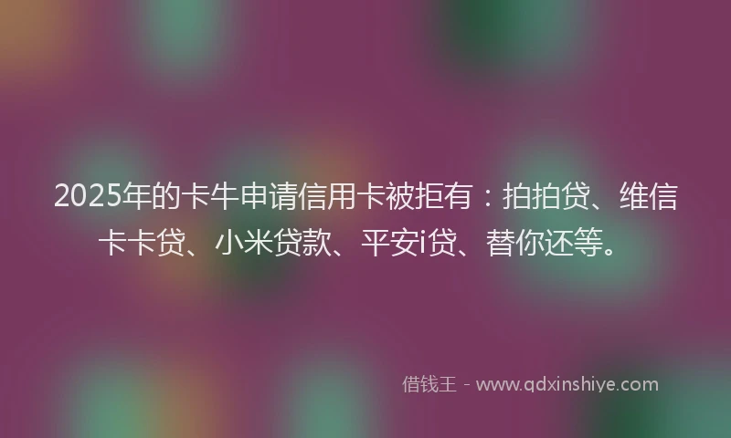 2025年的卡牛申请信用卡被拒有：拍拍贷、维信卡卡贷、小米贷款、平安i贷、替你还等。