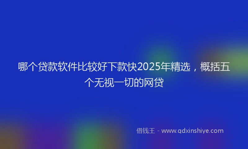 哪个贷款软件比较好下款快2025年精选，概括五个无视一切的网贷