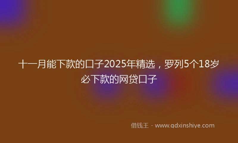 十一月能下款的口子2025年精选，罗列5个18岁必下款的网贷口子