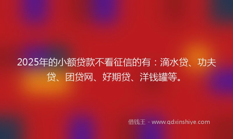 2025年的小额贷款不看征信的有：滴水贷、功夫贷、团贷网、好期贷、洋钱罐等。
