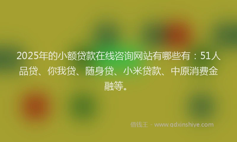 2025年的小额贷款在线咨询网站有哪些有：51人品贷、你我贷、随身贷、小米贷款、中原消费金融等。