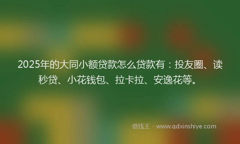 2025年的大同小额贷款怎么贷款有：投友圈、读秒贷、小花钱包、拉卡拉、安逸花等。