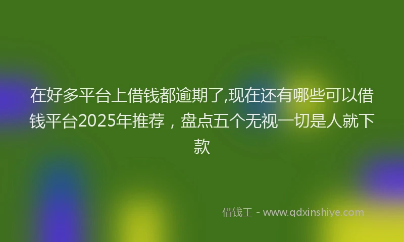 在好多平台上借钱都逾期了,现在还有哪些可以借钱平台2025年推荐，盘点五个无视一切是人就下款