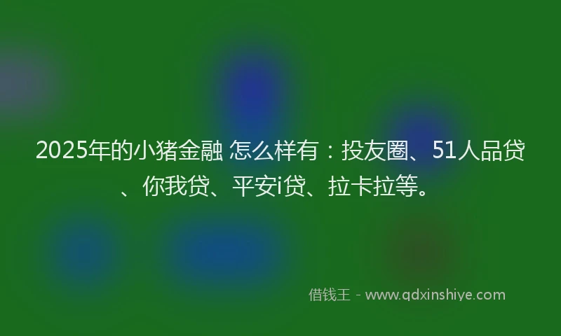 2025年的小猪金融 怎么样有：投友圈、51人品贷、你我贷、平安i贷、拉卡拉等。