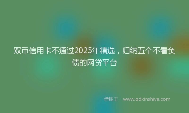 双币信用卡不通过2025年精选，归纳五个不看负债的网贷平台
