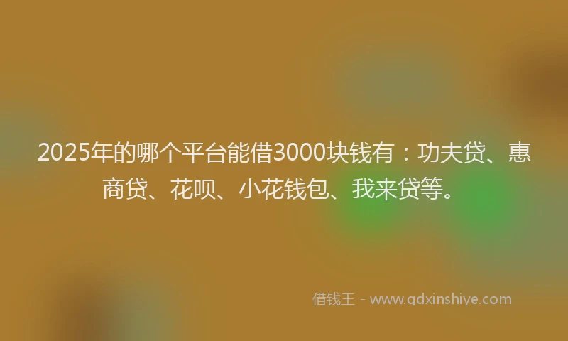 2025年的哪个平台能借3000块钱有：功夫贷、惠商贷、花呗、小花钱包、我来贷等。