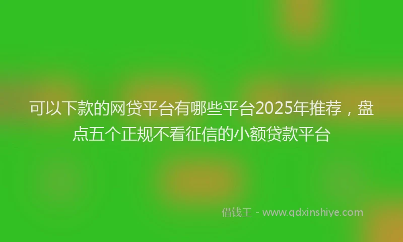 可以下款的网贷平台有哪些平台2025年推荐，盘点五个正规不看征信的小额贷款平台