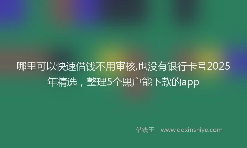 哪里可以快速借钱不用审核,也没有银行卡号2025年精选，整理5个黑户能下款的app