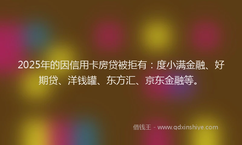 2025年的因信用卡房贷被拒有：度小满金融、好期贷、洋钱罐、东方汇、京东金融等。
