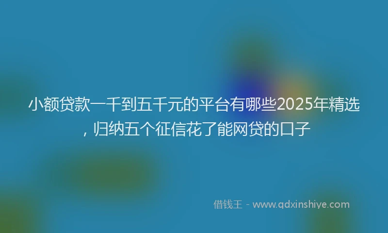 小额贷款一千到五千元的平台有哪些2025年精选，归纳五个征信花了能网贷的口子