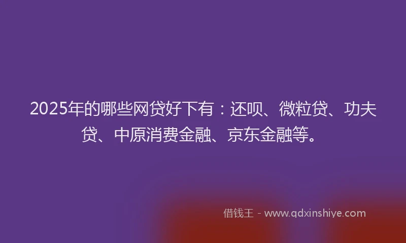 2025年的哪些网贷好下有：还呗、微粒贷、功夫贷、中原消费金融、京东金融等。
