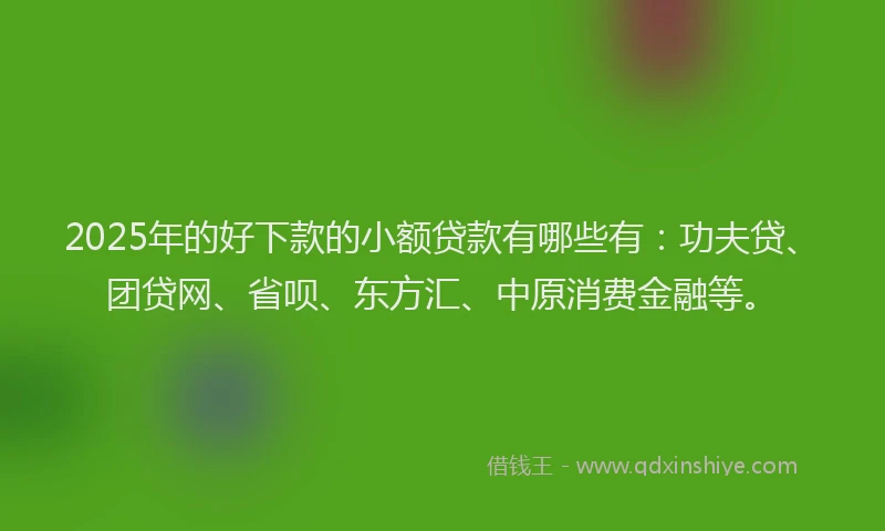 2025年的好下款的小额贷款有哪些有：功夫贷、团贷网、省呗、东方汇、中原消费金融等。