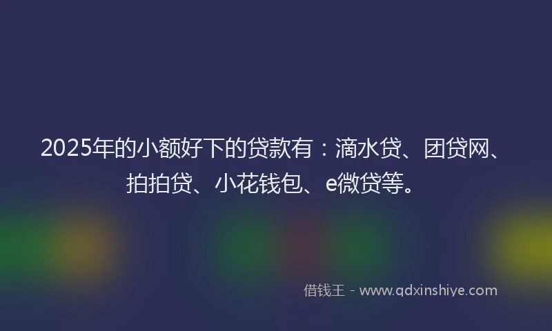 2025年的小额好下的贷款有：滴水贷、团贷网、拍拍贷、小花钱包、e微贷等。