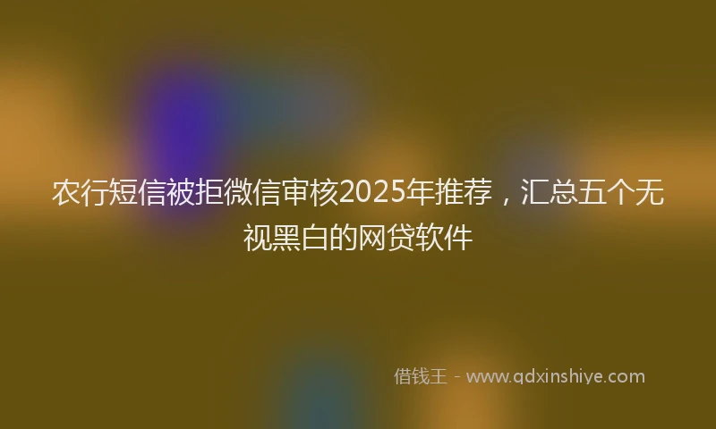 农行短信被拒微信审核2025年推荐，汇总五个无视黑白的网贷软件
