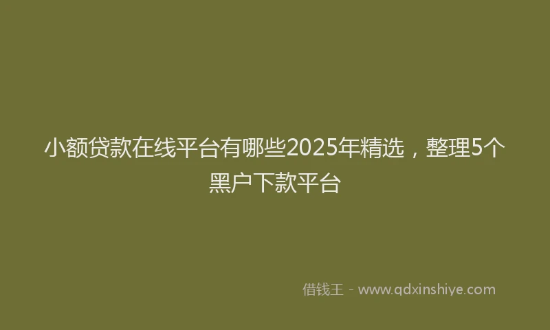 小额贷款在线平台有哪些2025年精选，整理5个黑户下款平台