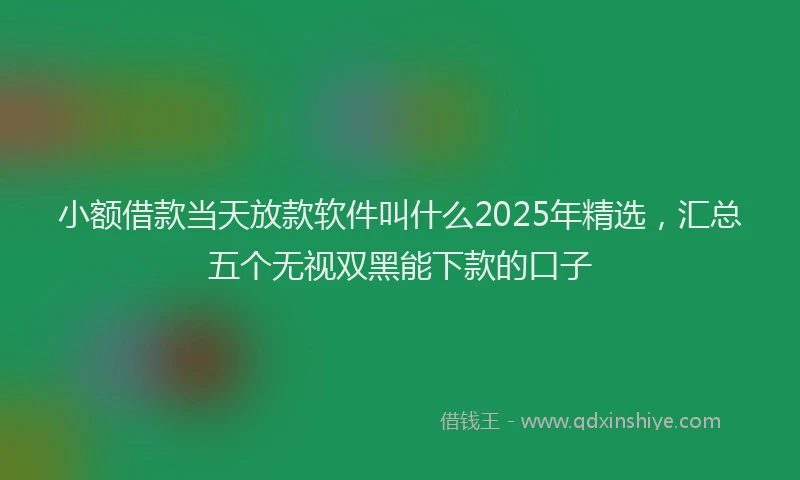 小额借款当天放款软件叫什么2025年精选，汇总五个无视双黑能下款的口子