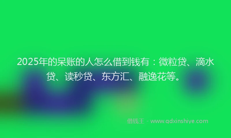 2025年的呆账的人怎么借到钱有：微粒贷、滴水贷、读秒贷、东方汇、融逸花等。