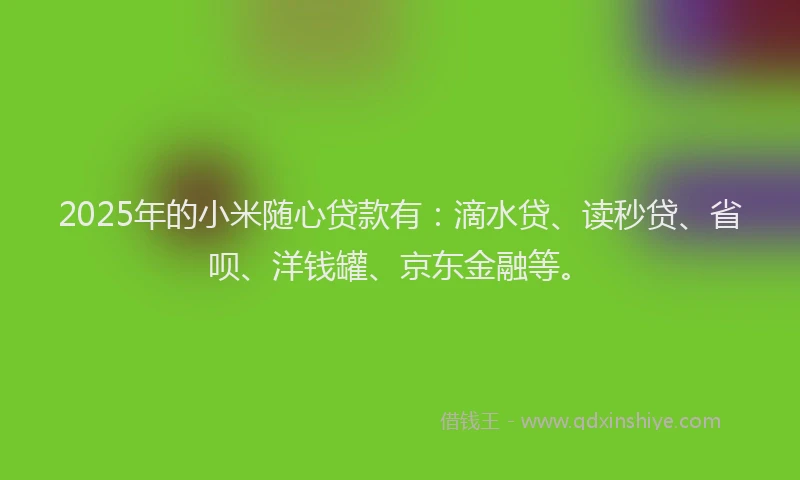 2025年的小米随心贷款有：滴水贷、读秒贷、省呗、洋钱罐、京东金融等。