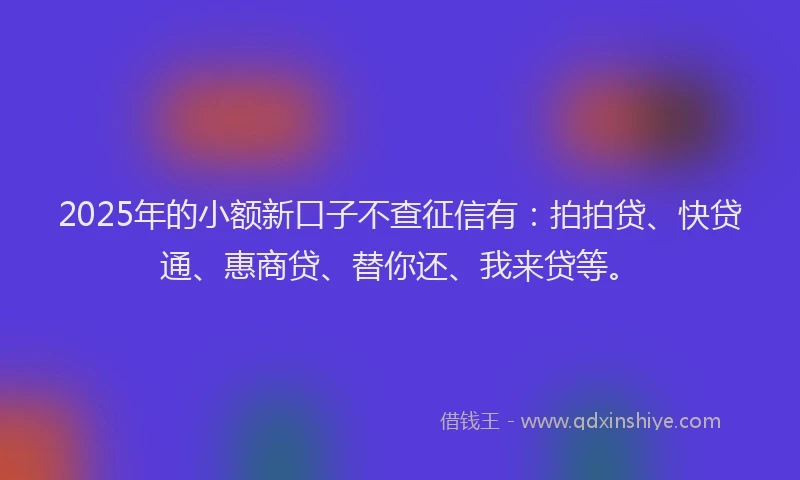 2025年的小额新口子不查征信有：拍拍贷、快贷通、惠商贷、替你还、我来贷等。