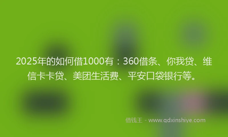 2025年的如何借1000有：360借条、你我贷、维信卡卡贷、美团生活费、平安口袋银行等。
