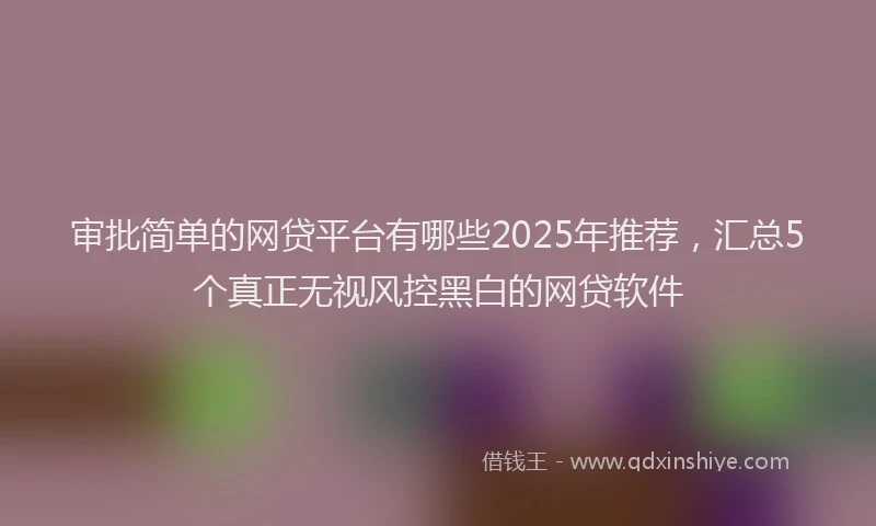 审批简单的网贷平台有哪些2025年推荐，汇总5个真正无视风控黑白的网贷软件