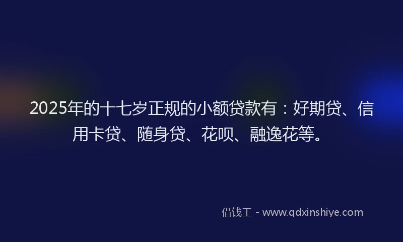 2025年的十七岁正规的小额贷款有：好期贷、信用卡贷、随身贷、花呗、融逸花等。