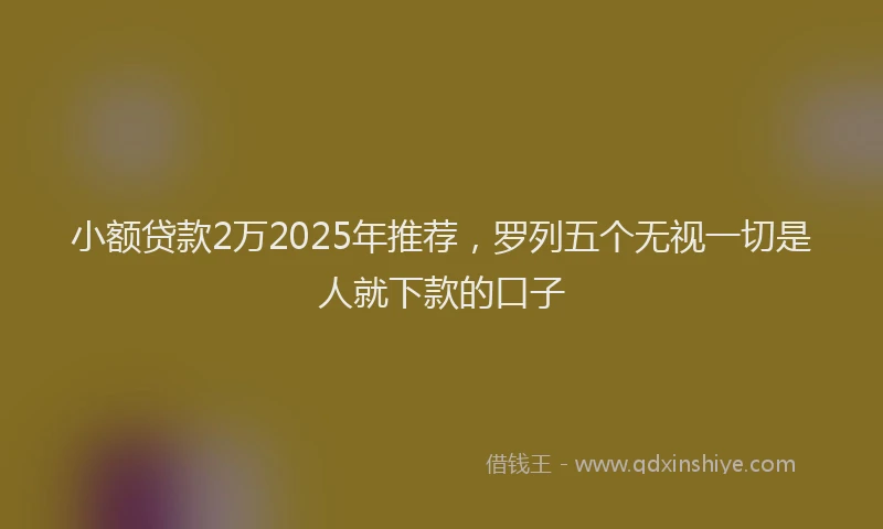 小额贷款2万2025年推荐，罗列五个无视一切是人就下款的口子