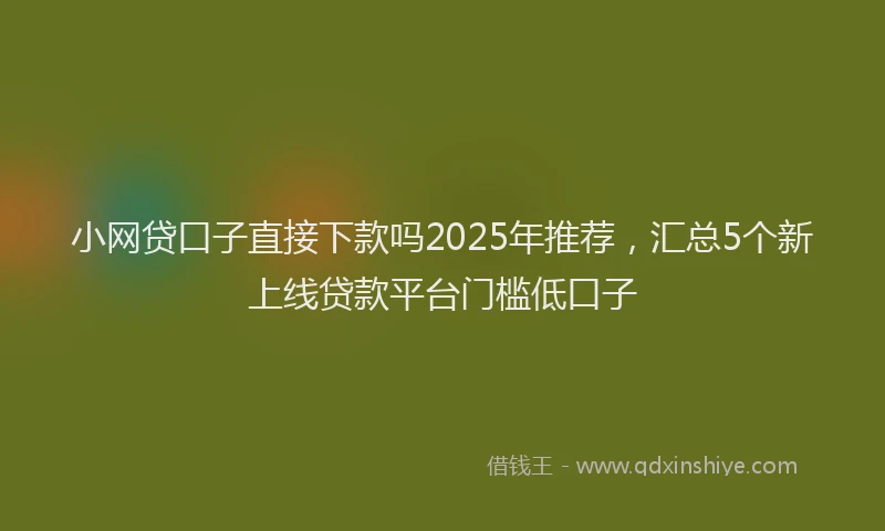 小网贷口子直接下款吗2025年推荐，汇总5个新上线贷款平台门槛低口子