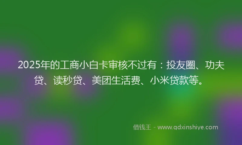 2025年的工商小白卡审核不过有：投友圈、功夫贷、读秒贷、美团生活费、小米贷款等。