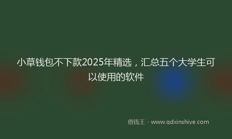 小草钱包不下款2025年精选，汇总五个大学生可以使用的软件