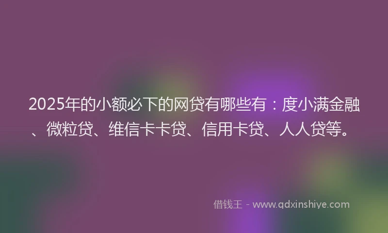 2025年的小额必下的网贷有哪些有：度小满金融、微粒贷、维信卡卡贷、信用卡贷、人人贷等。