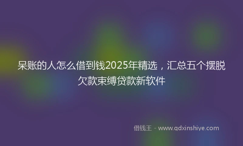 呆账的人怎么借到钱2025年精选，汇总五个摆脱欠款束缚贷款新软件