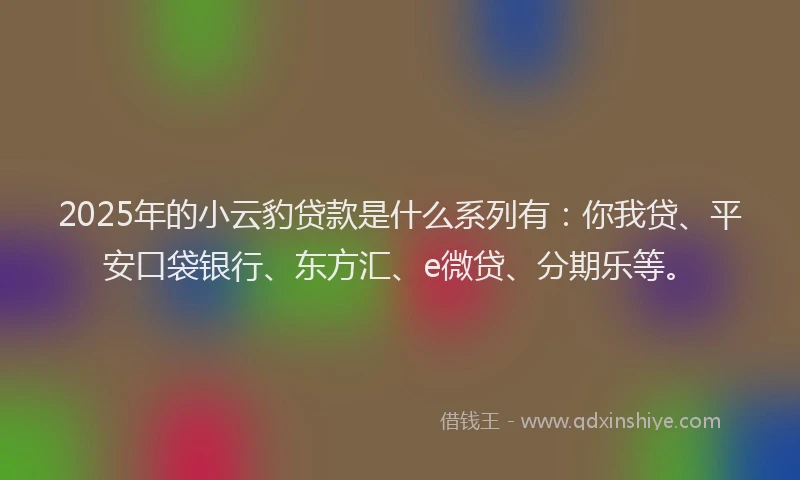 2025年的小云豹贷款是什么系列有：你我贷、平安口袋银行、东方汇、e微贷、分期乐等。