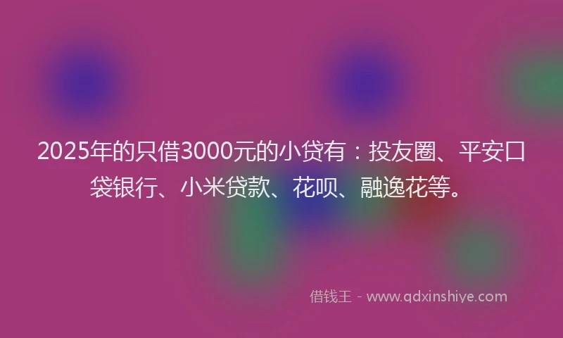 2025年的只借3000元的小贷有：投友圈、平安口袋银行、小米贷款、花呗、融逸花等。
