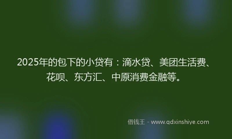 2025年的包下的小贷有：滴水贷、美团生活费、花呗、东方汇、中原消费金融等。