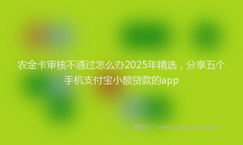 农金卡审核不通过怎么办2025年精选，分享五个手机支付宝小额贷款的app
