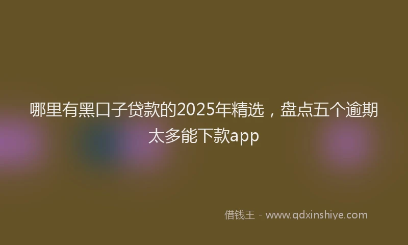 哪里有黑口子贷款的2025年精选，盘点五个逾期太多能下款app