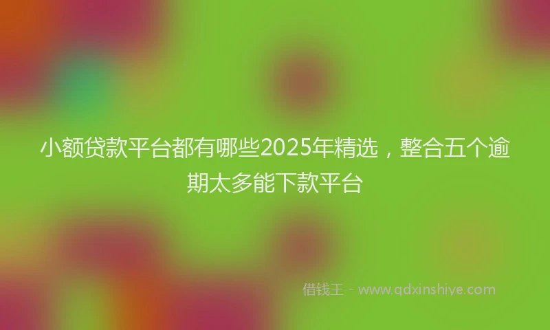 小额贷款平台都有哪些2025年精选，整合五个逾期太多能下款平台