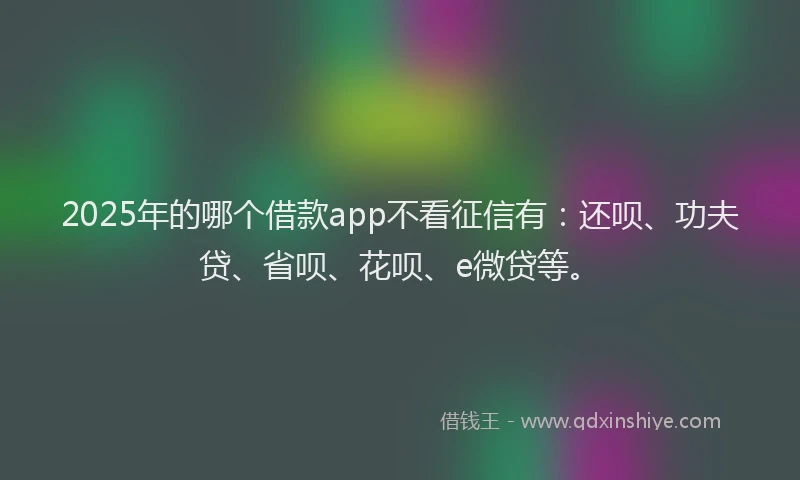 2025年的哪个借款app不看征信有：还呗、功夫贷、省呗、花呗、e微贷等。