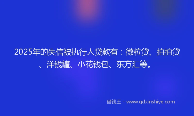 2025年的失信被执行人贷款有：微粒贷、拍拍贷、洋钱罐、小花钱包、东方汇等。