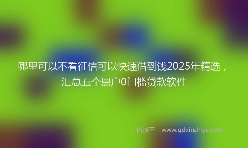 哪里可以不看征信可以快速借到钱2025年精选，汇总五个黑户0门槛贷款软件