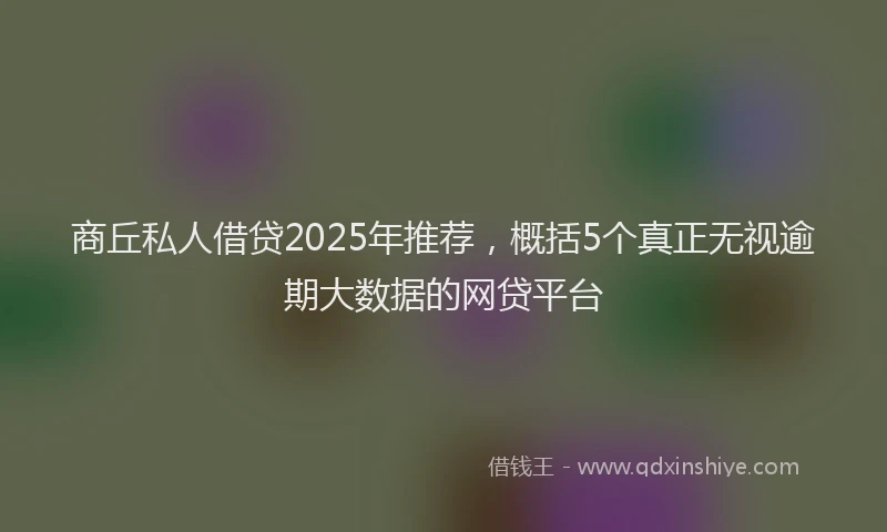 商丘私人借贷2025年推荐，概括5个真正无视逾期大数据的网贷平台