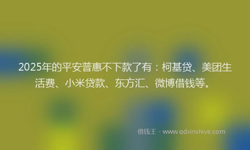 2025年的平安普惠不下款了有：柯基贷、美团生活费、小米贷款、东方汇、微博借钱等。