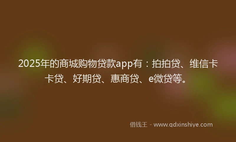 2025年的商城购物贷款app有：拍拍贷、维信卡卡贷、好期贷、惠商贷、e微贷等。