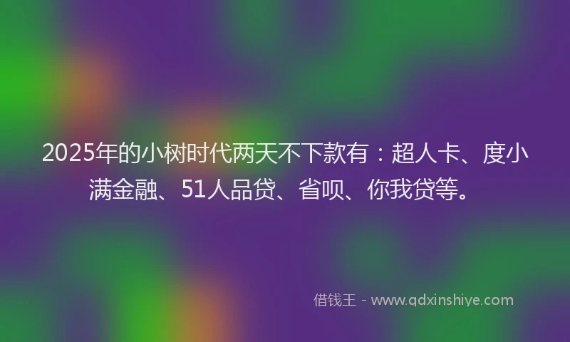 2025年的小树时代两天不下款有：超人卡、度小满金融、51人品贷、省呗、你我贷等。
