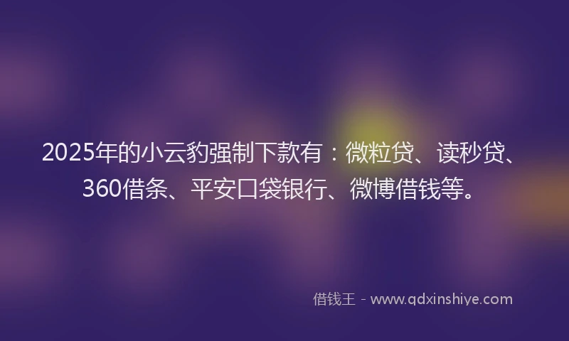 2025年的小云豹强制下款有：微粒贷、读秒贷、360借条、平安口袋银行、微博借钱等。