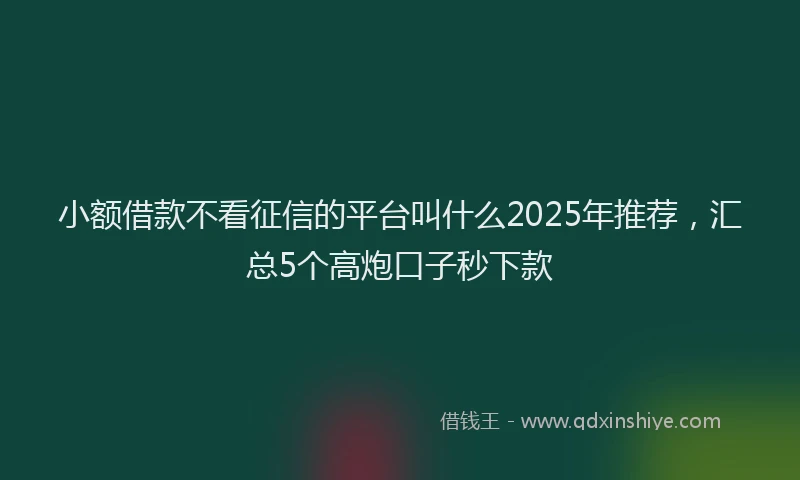 小额借款不看征信的平台叫什么2025年推荐，汇总5个高炮口子秒下款