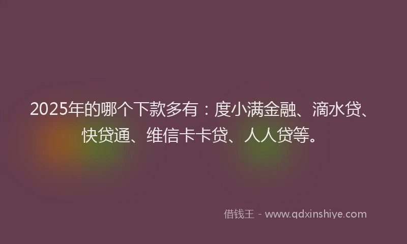2025年的哪个下款多有：度小满金融、滴水贷、快贷通、维信卡卡贷、人人贷等。