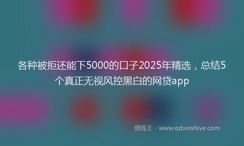 各种被拒还能下5000的口子2025年精选，总结5个真正无视风控黑白的网贷app