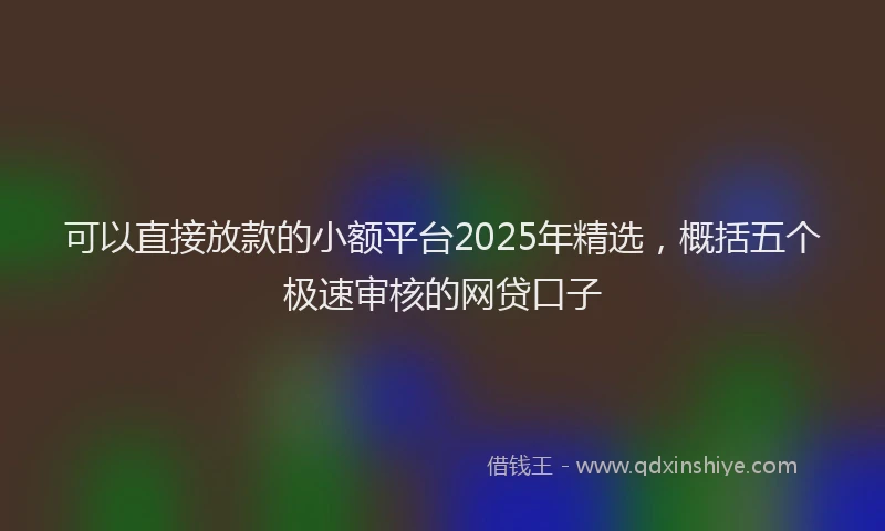 可以直接放款的小额平台2025年精选，概括五个极速审核的网贷口子